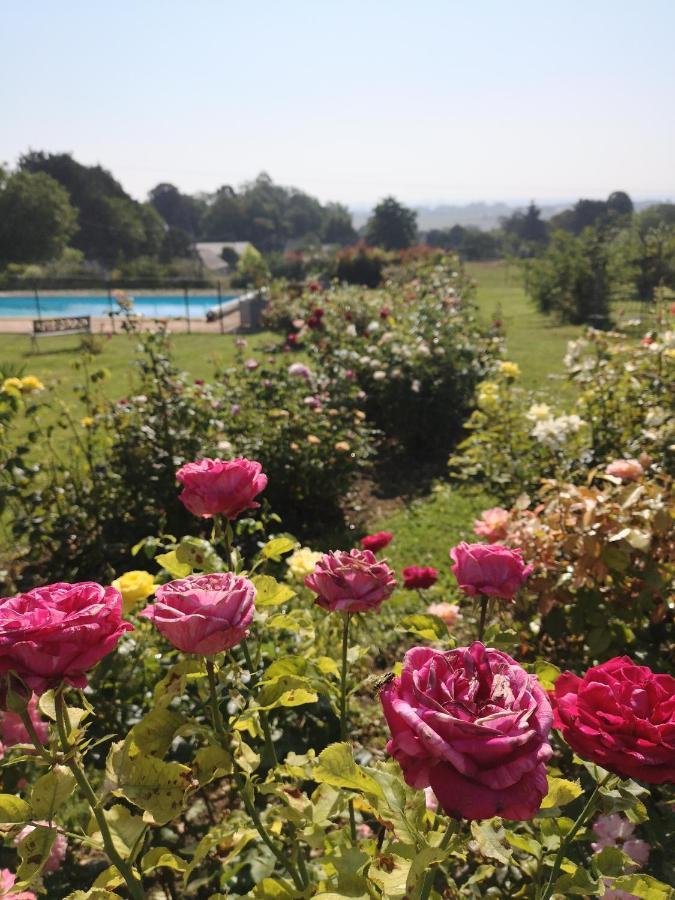 Villa Meublé de campagne au calme Louchy-Montfand Exterior foto